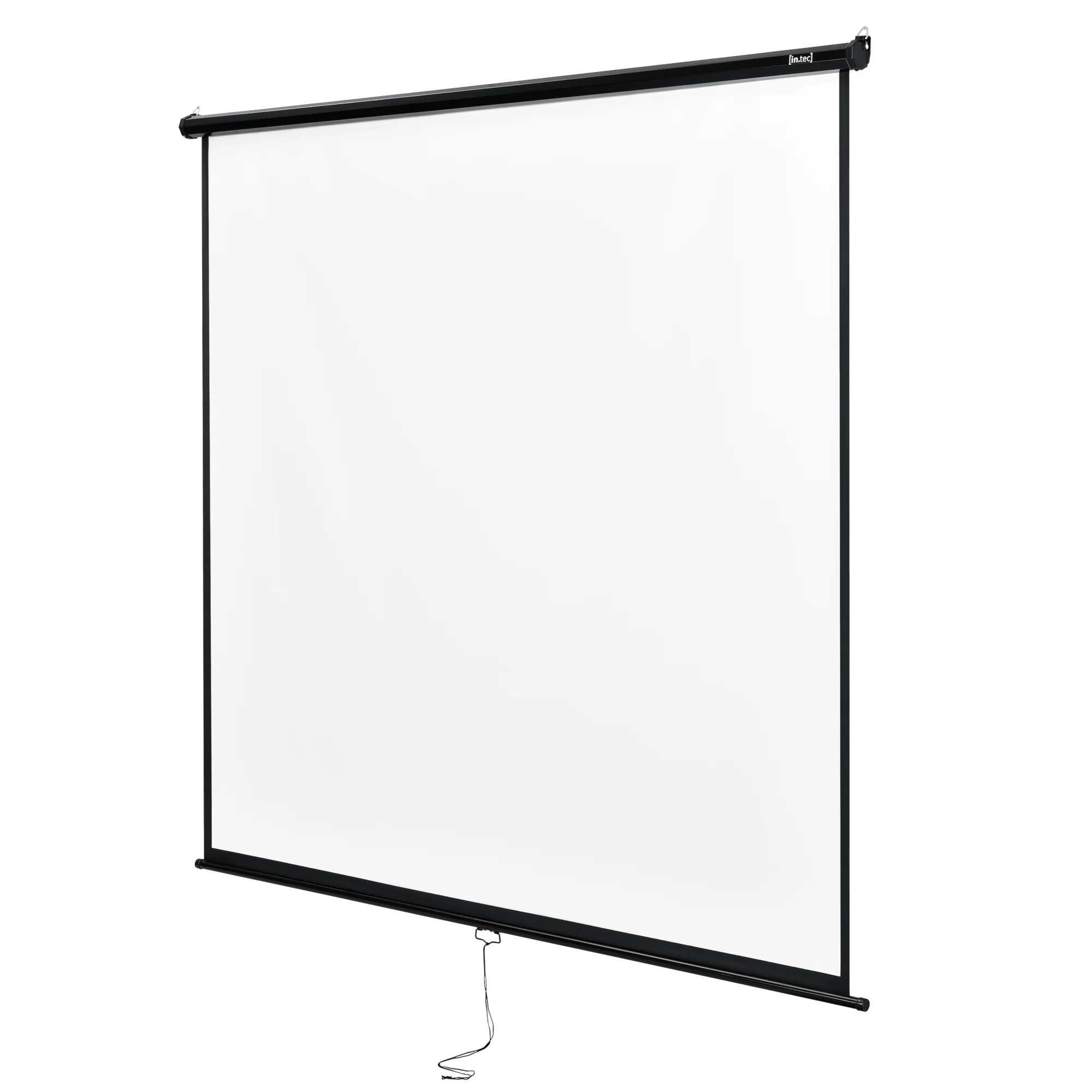 Projectiescherm wit en zwart 203x203 cm 113"