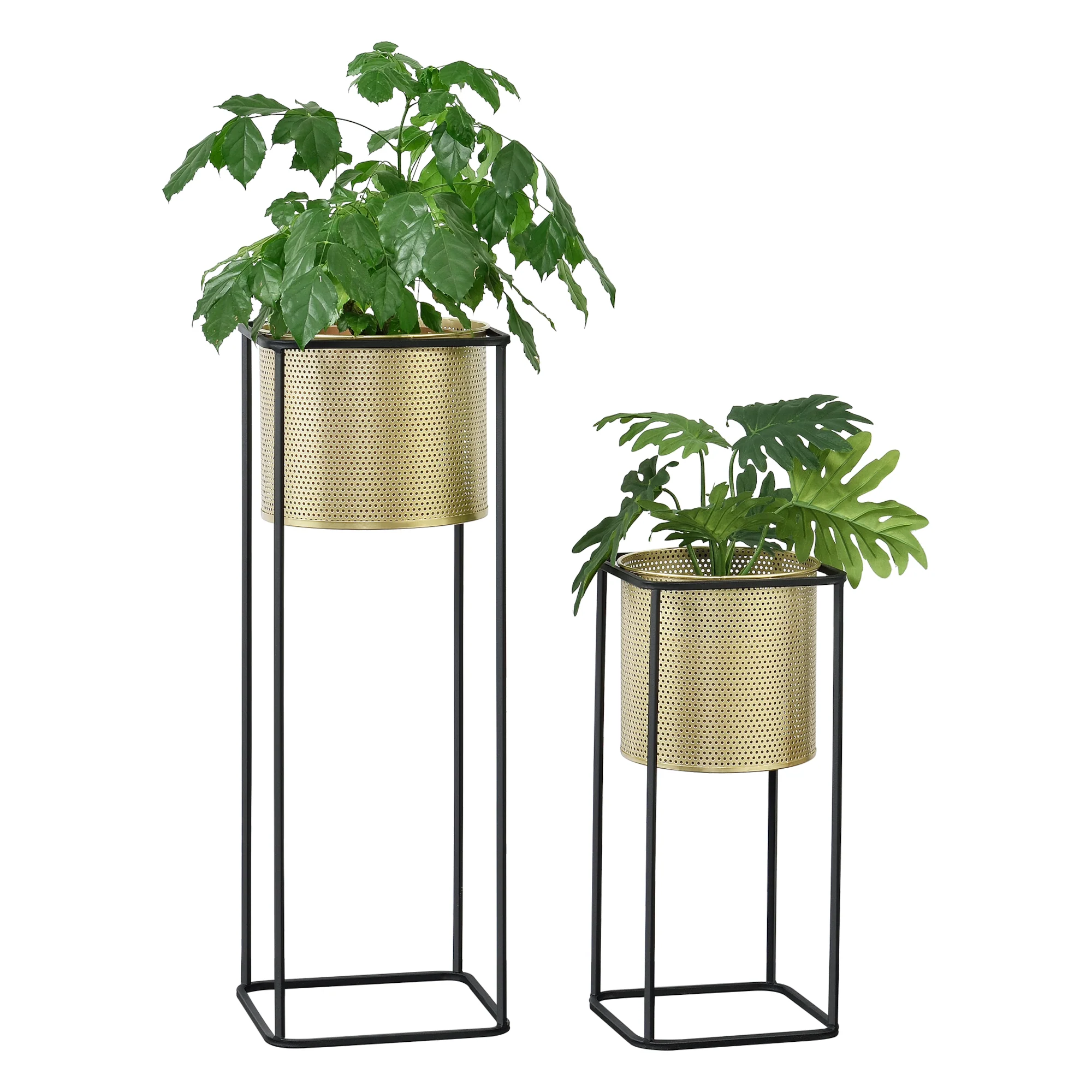Bloempot op standaard Mettet set van 2 zwart en goud
