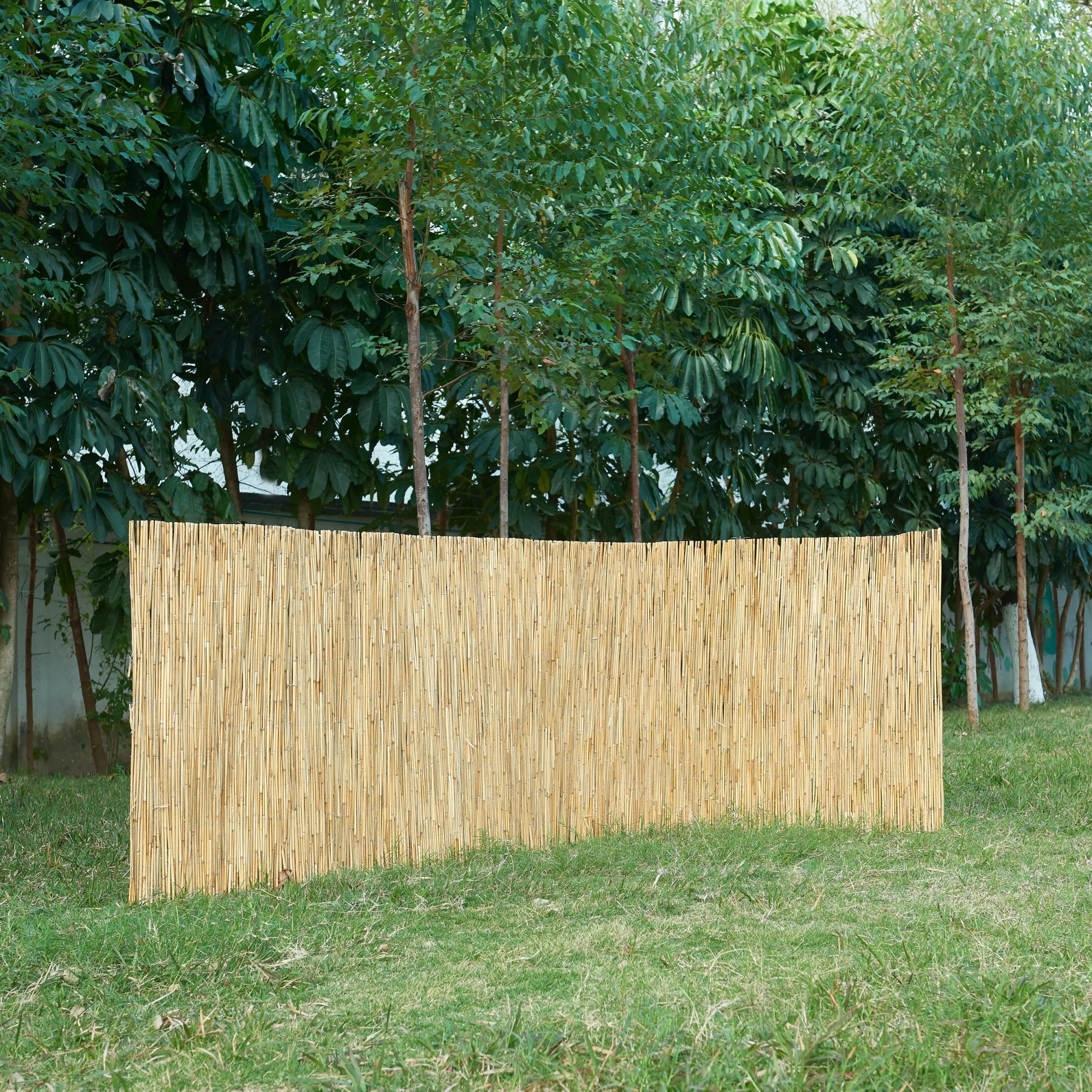 casa.pro Rietmatten Abbateggio pryvacyscherm balkonscherm - 8 varianten - Image 4